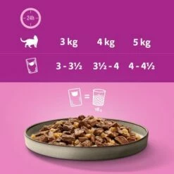 Multipack Whiskas Pure Delight Portionspåse 48 X 85 G -Billig Bitiba butik 379797 multipack whiskas puredelight portionsbeutel classicragout 48x85g hs 07 8