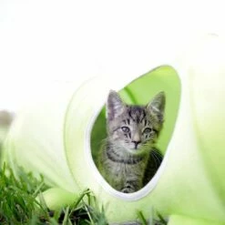 Kerbl Caterpillar Kattunnel -Billig Bitiba butik 386201 kerbl katzentunnel raupe hs 05 2