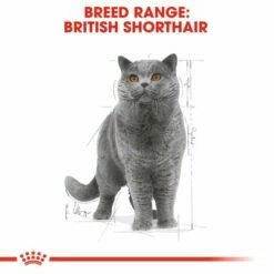 Royal Canin Breed British Shorthair -Billig Bitiba butik rc fbn wet britishsh mv eretailkit 1 sv se 6