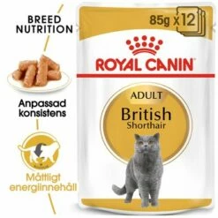 Royal Canin Breed British Shorthair