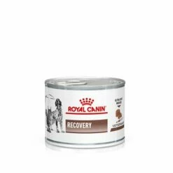 Royal Canin Veterinary Diet Feline Recovery